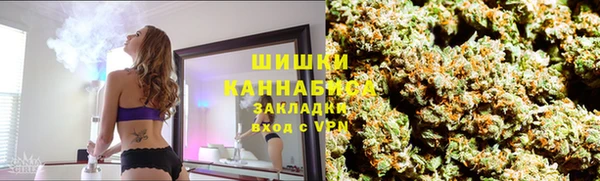 крисы Алзамай