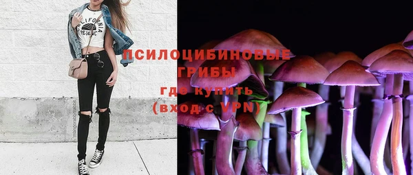 гидропоника Алексеевка
