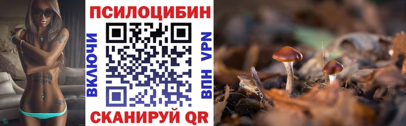 Галлюциногенные грибы Cubensis  Ленинск-Кузнецкий 