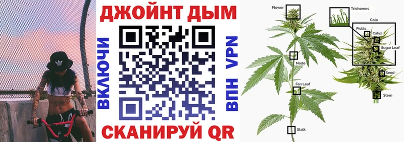 Конопля ГИДРОПОН  Ленинск-Кузнецкий 